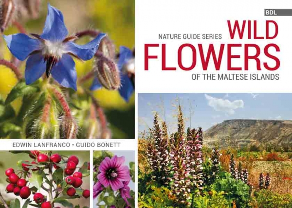 Wild Flowers of the Maltese Islands