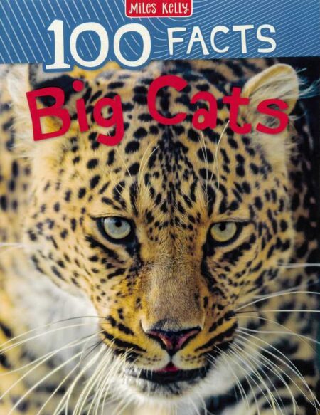 100 Facts: Big Cats