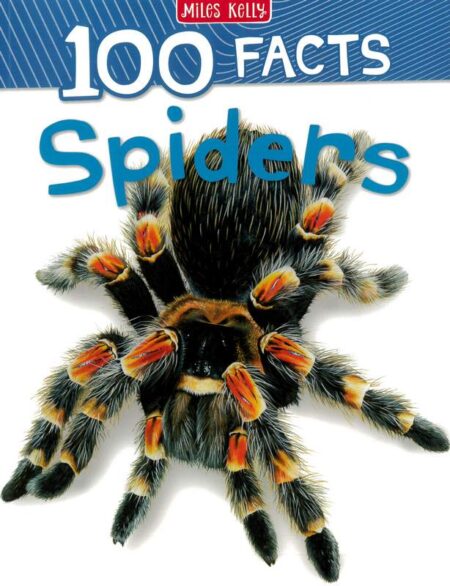 100 Facts: Spiders