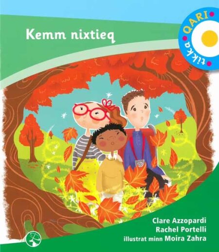 Tikka Qari - Kemm nixtieq