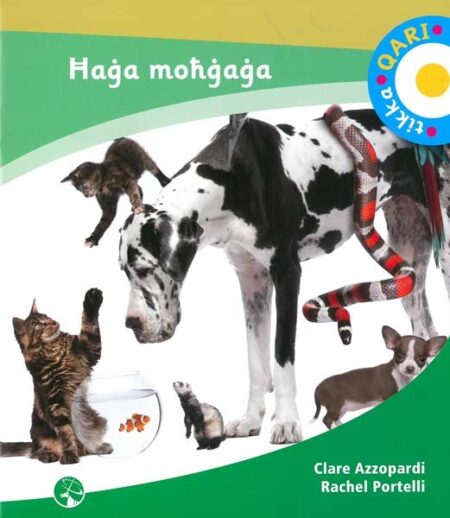 Tikka Qari - Ħaġa Moħġaġa