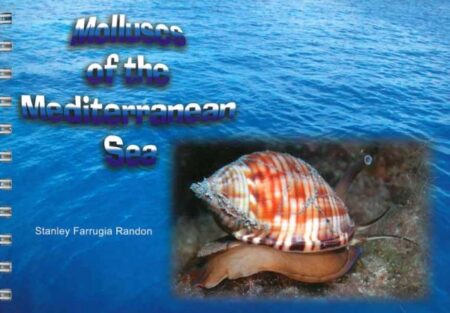 Molluscs of the Mediterranean Sea