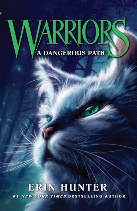 Warriors: A Dangerous Path