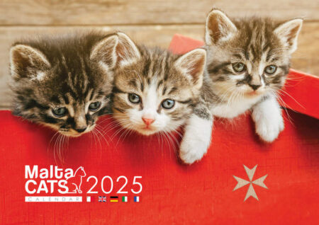 Malta Cats 2025 Calendar A4