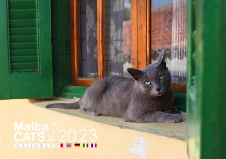 Malta Cats Calendar 2023 - A4