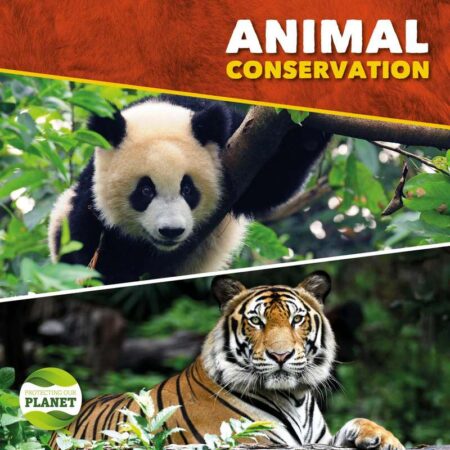 Protecting our Planet: Animal Conservation
