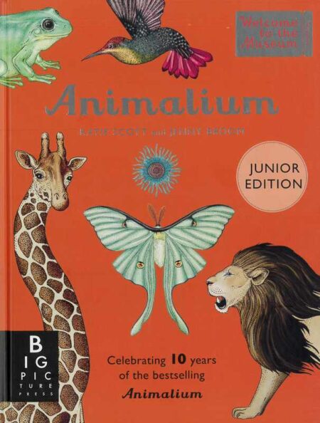 Animalium