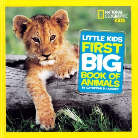 Little Kids First Big Book of Animals