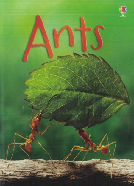 Ants