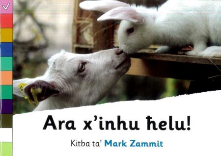 Ara x'inhu Ħelu! - Level 1 Roża