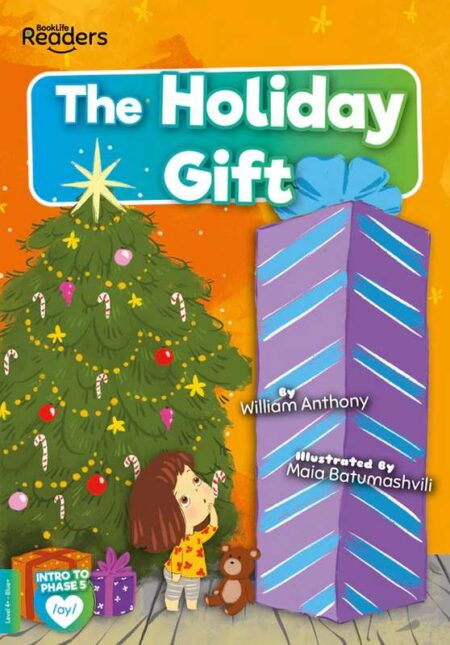 BookLife Readers Level 4+ : A Holiday Gift