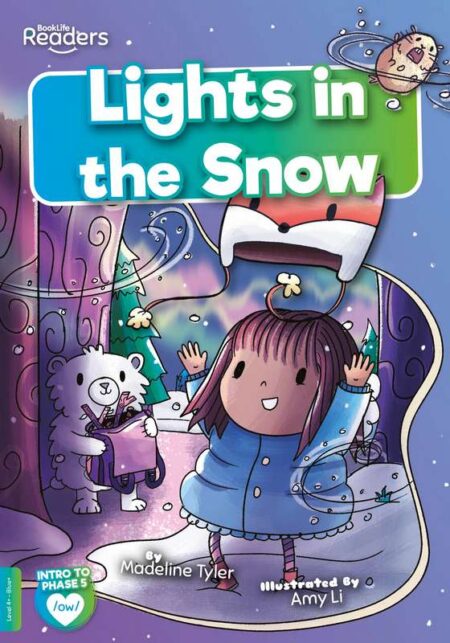 BookLife Readers Level 4+ : Lights in the Snow