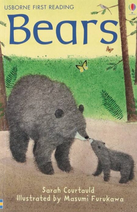 Bear: Usborne First Reading