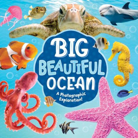 Big Beautiful Ocean: A Photographic Exploration