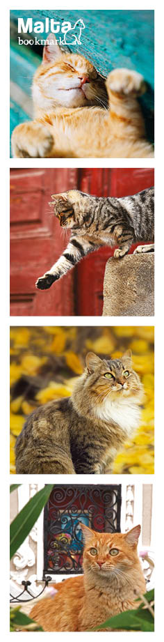 Malta Bookmark 9: The Cats of Malta