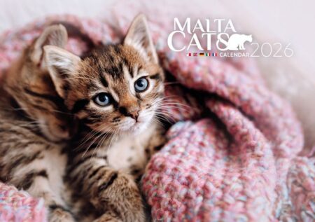Malta Cats 2026 Calendar A4
