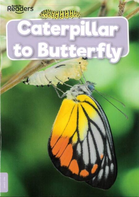 BookLife Readers: Caterpillar to Butterfly NF Level 0
