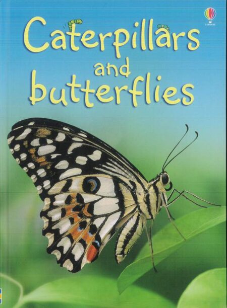 Caterpillars and butterflies