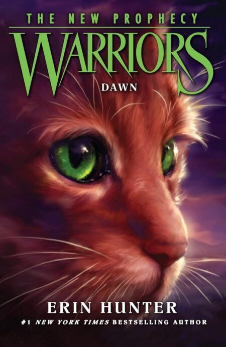 Warriors: Dawn