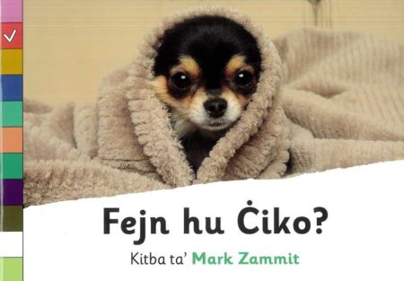 Fejn hu Ċiko? - Level 2 Aħmar