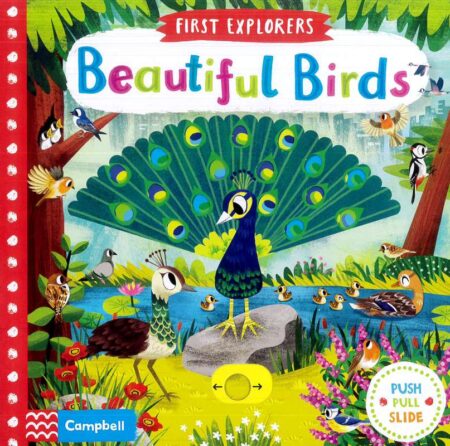 First Explorers: Beautiful Birds
