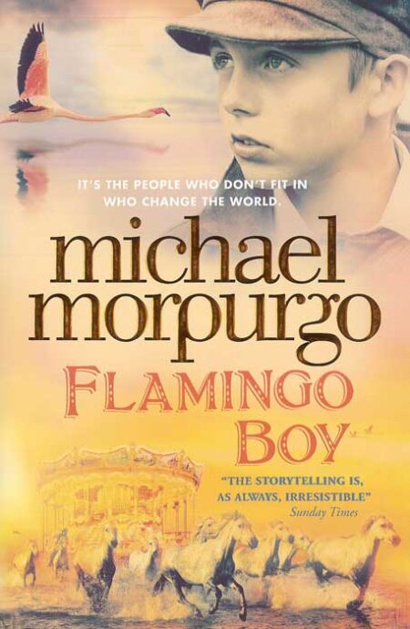 Flamingo Boy
