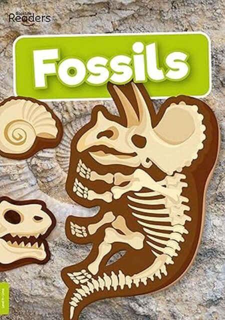 BookLife Readers Level 11: Fossils