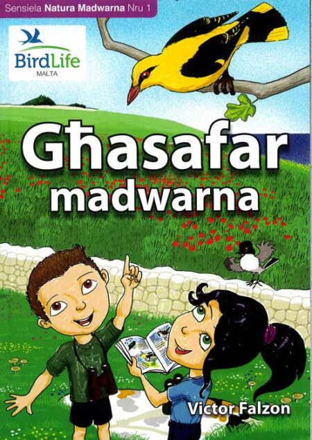 Għasafar madwarna