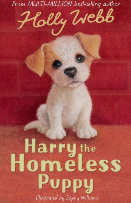 Harry the Homeless Puppy