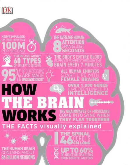 How the Brain Works