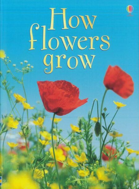 How flowers grow