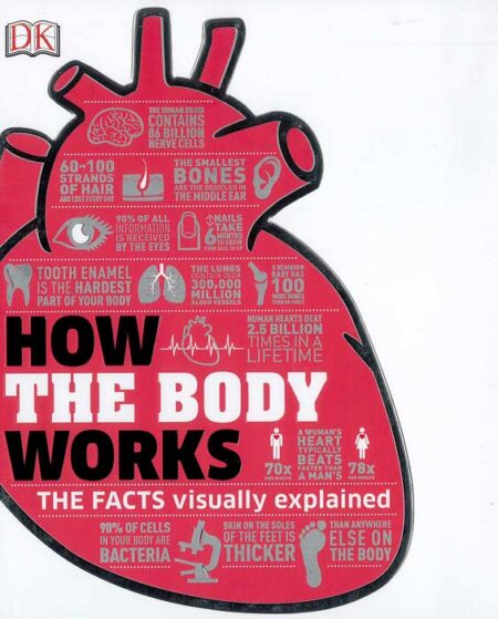 How the Body Works