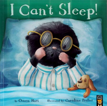 I Can't Sleep