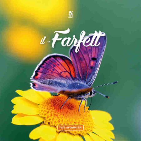 Il-Farfett