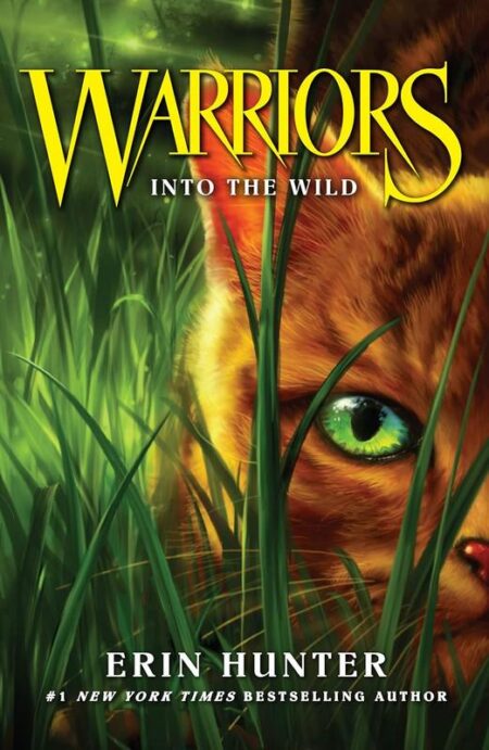 Warriors: Into the Wild