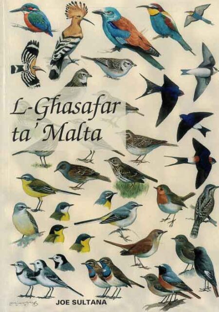 L-Għasafar ta' Malta