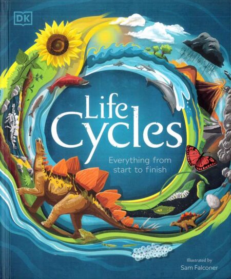 Life Cycles: Everything From Start to Finish