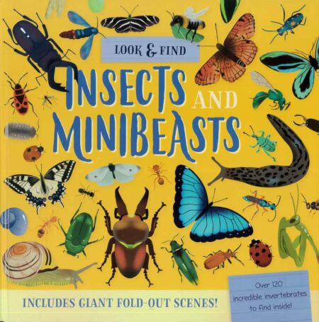 Look and Find: Insects and Minibeasts