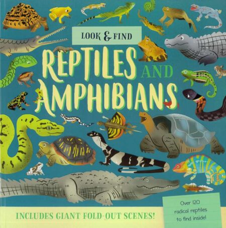 Look and Find: Reptiles and Amphibians