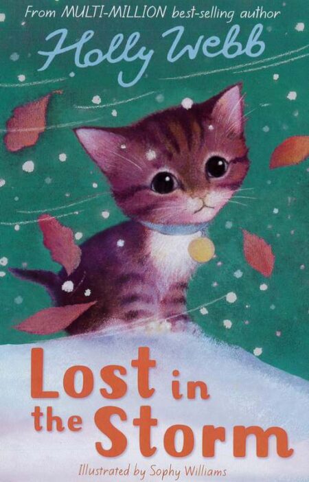 Lost in the Storm