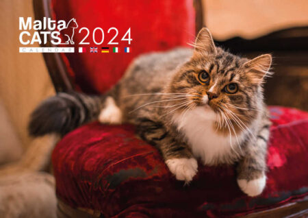 Malta Cats 2024 Calendar A4