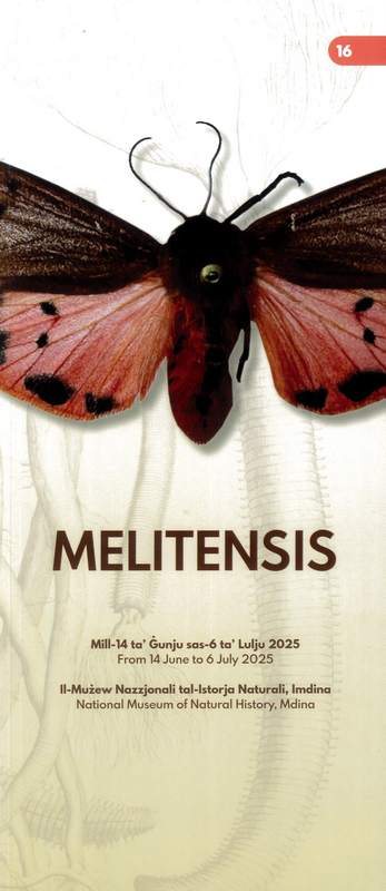 Melitensis