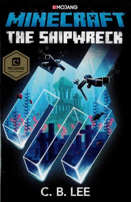 Minecraft: The Shipwreck