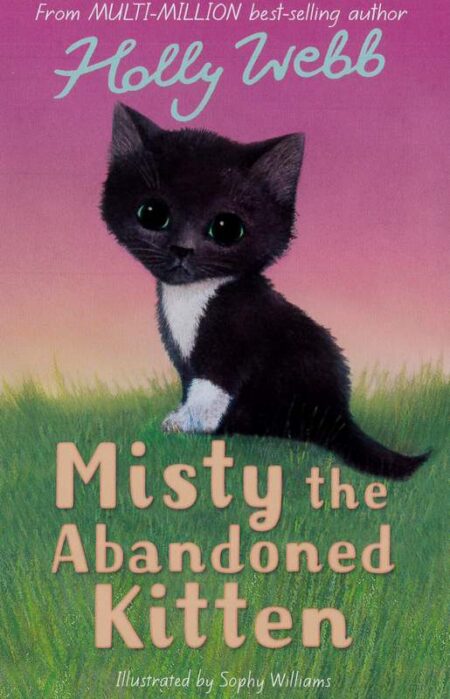Misty the Abandoned Kitten