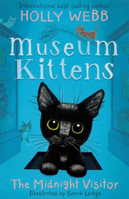 Museum Kittens: The Midnight Visitor