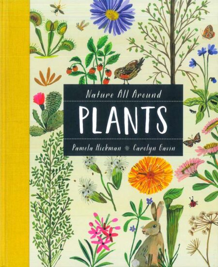 Nature All Around: Plants