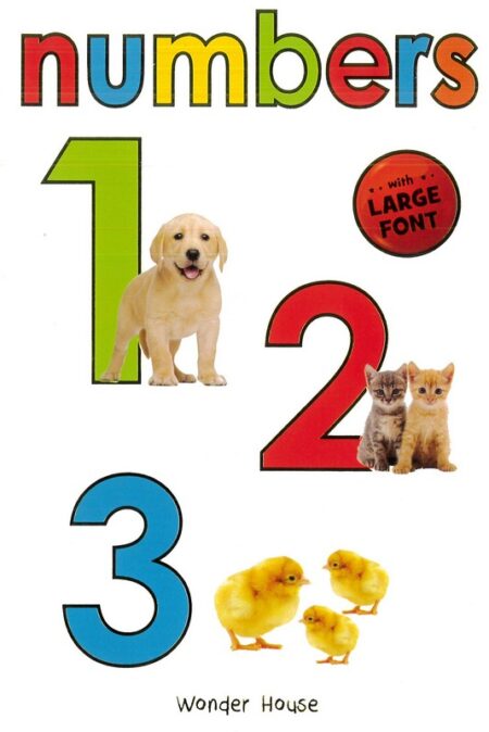 Numbers Board Book