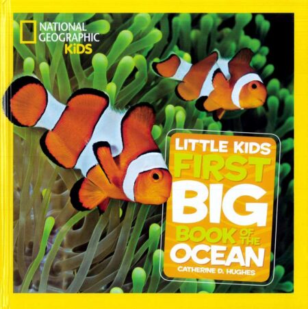 Little Kids First Big Book of the Ocean