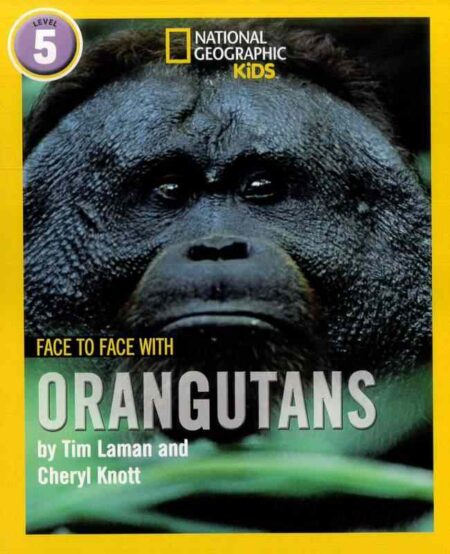 Face to Face with Orangutans
