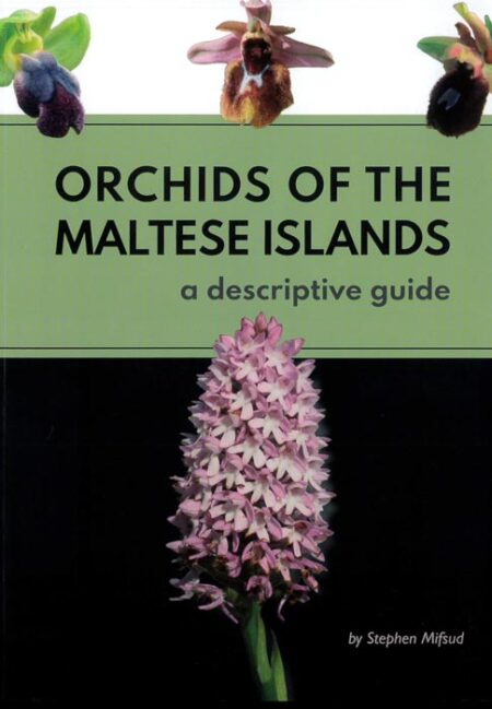 Orchids of the Maltese Islands